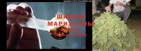 молекула духа Богородск