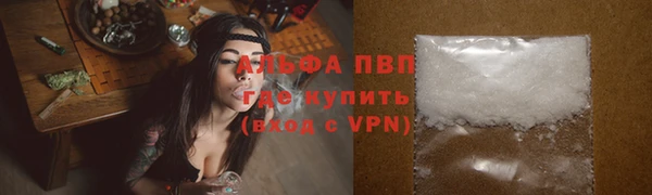 стафф Богородицк