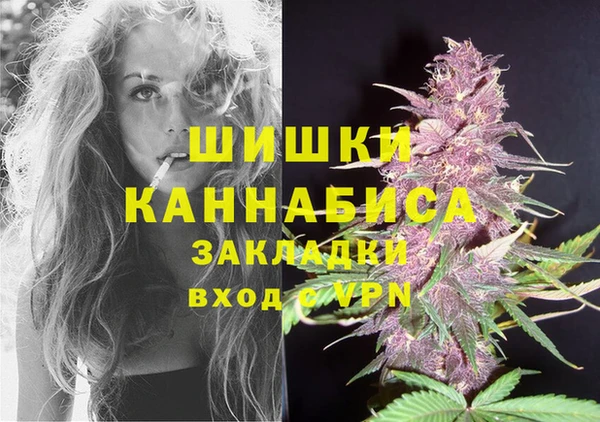 стафф Богородицк