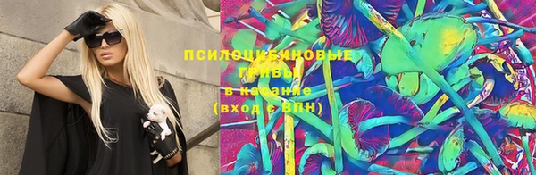 стафф Богородицк