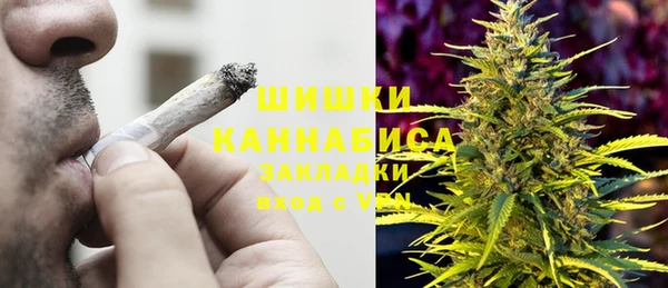PSILOCYBIN Богданович