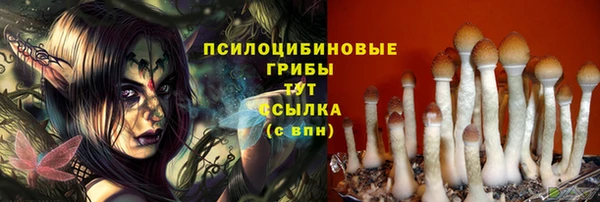PSILOCYBIN Богданович