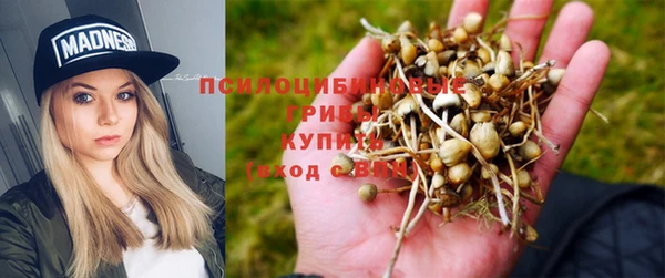 PSILOCYBIN Богданович